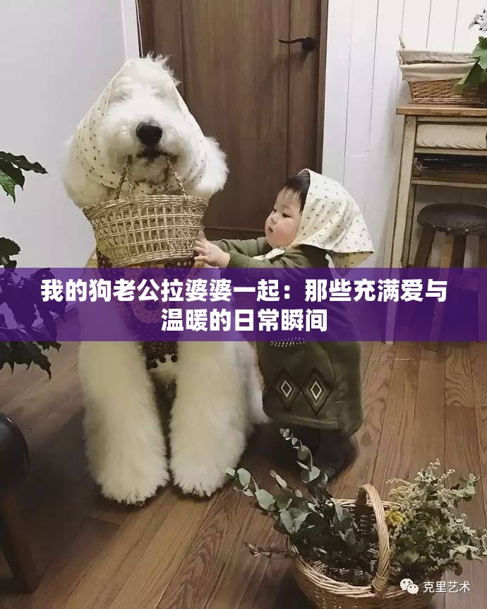 我的狗老公拉婆婆一起：那些充满爱与温暖的日常瞬间