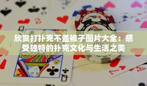 欣赏打扑克不盖被子图片大全：感受独特的扑克文化与生活之美