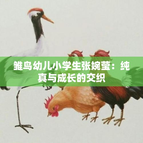 雏鸟幼儿小学生张婉莹：纯真与成长的交织