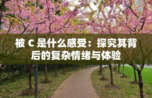 被 C 是什么感受：探究其背后的复杂情绪与体验