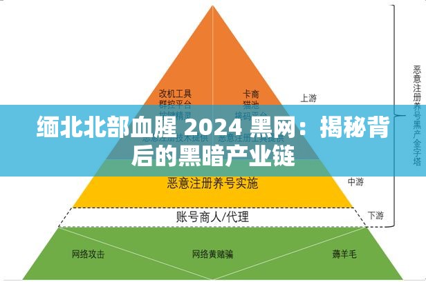 缅北北部血腥 2024 黑网：揭秘背后的黑暗产业链