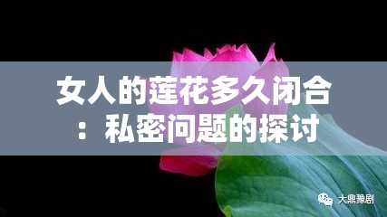 女人的莲花多久闭合：私密问题的探讨