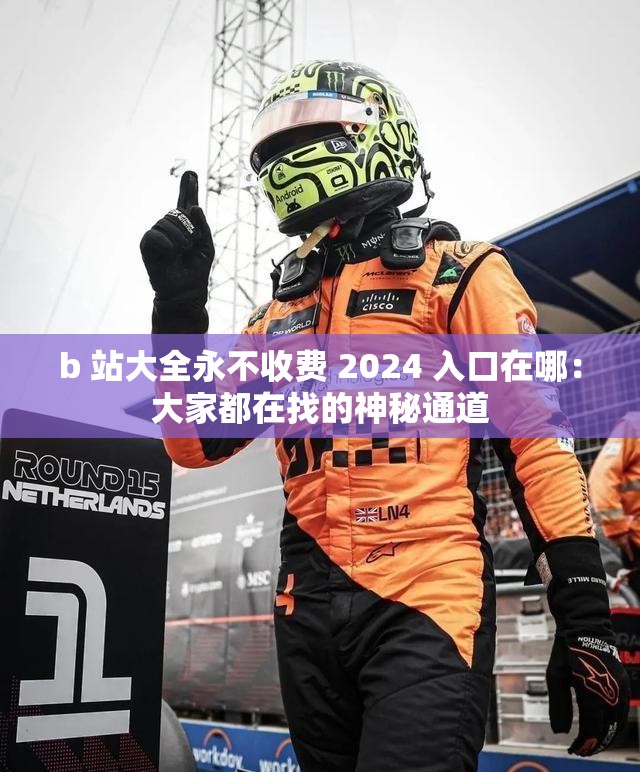 b 站大全永不收费 2024 入口在哪：大家都在找的神秘通道