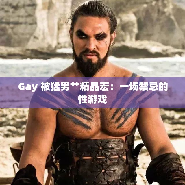 Gay 被猛男艹精品宏：一场禁忌的性游戏