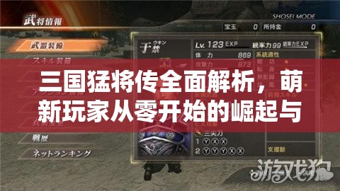 三国猛将传全面解析，萌新玩家从零开始的崛起与称霸攻略