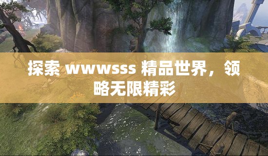 探索 wwwsss 精品世界，领略无限精彩