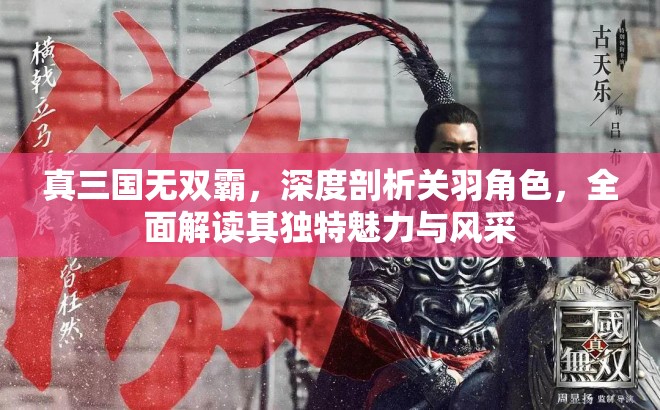 真三国无双霸，深度剖析关羽角色，全面解读其独特魅力与风采