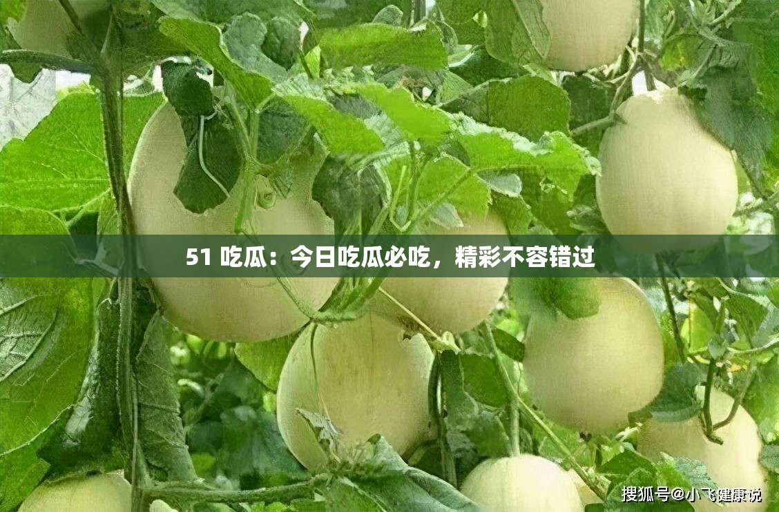 51 吃瓜：今日吃瓜必吃，精彩不容错过