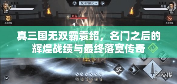 真三国无双霸袁绍，名门之后的辉煌战绩与最终落寞传奇