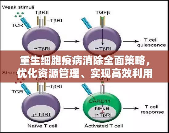 重生细胞疫病消除全面策略，优化资源管理、实现高效利用并严格避免浪费