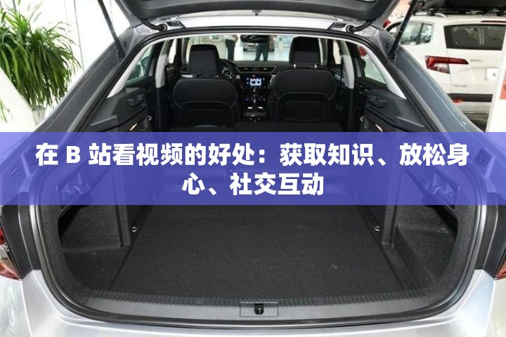 在 B 站看视频的好处：获取知识、放松身心、社交互动