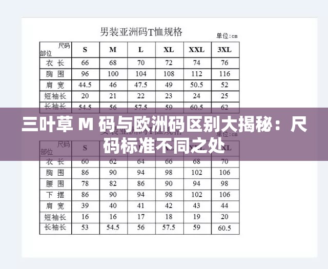 三叶草 M 码与欧洲码区别大揭秘：尺码标准不同之处