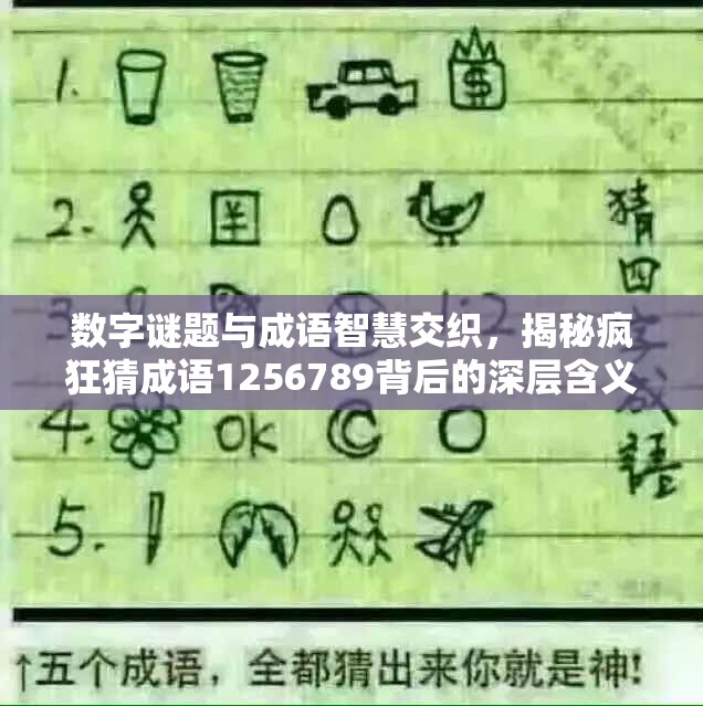 数字谜题与成语智慧交织，揭秘疯狂猜成语1256789背后的深层含义