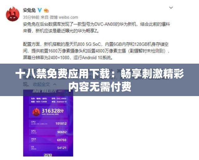 十八禁免费应用下载：畅享刺激精彩内容无需付费