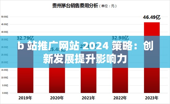 b 站推广网站 2024 策略：创新发展提升影响力