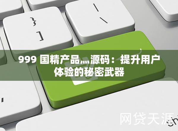 999 国精产品灬源码：提升用户体验的秘密武器