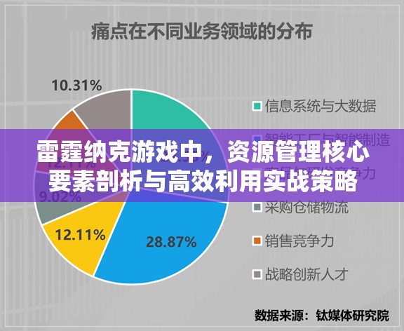 雷霆纳克游戏中，资源管理核心要素剖析与高效利用实战策略