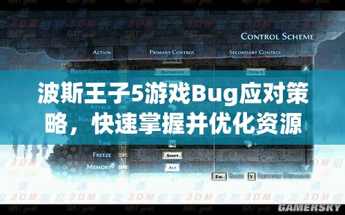 波斯王子5游戏Bug应对策略，快速掌握并优化资源管理的技巧