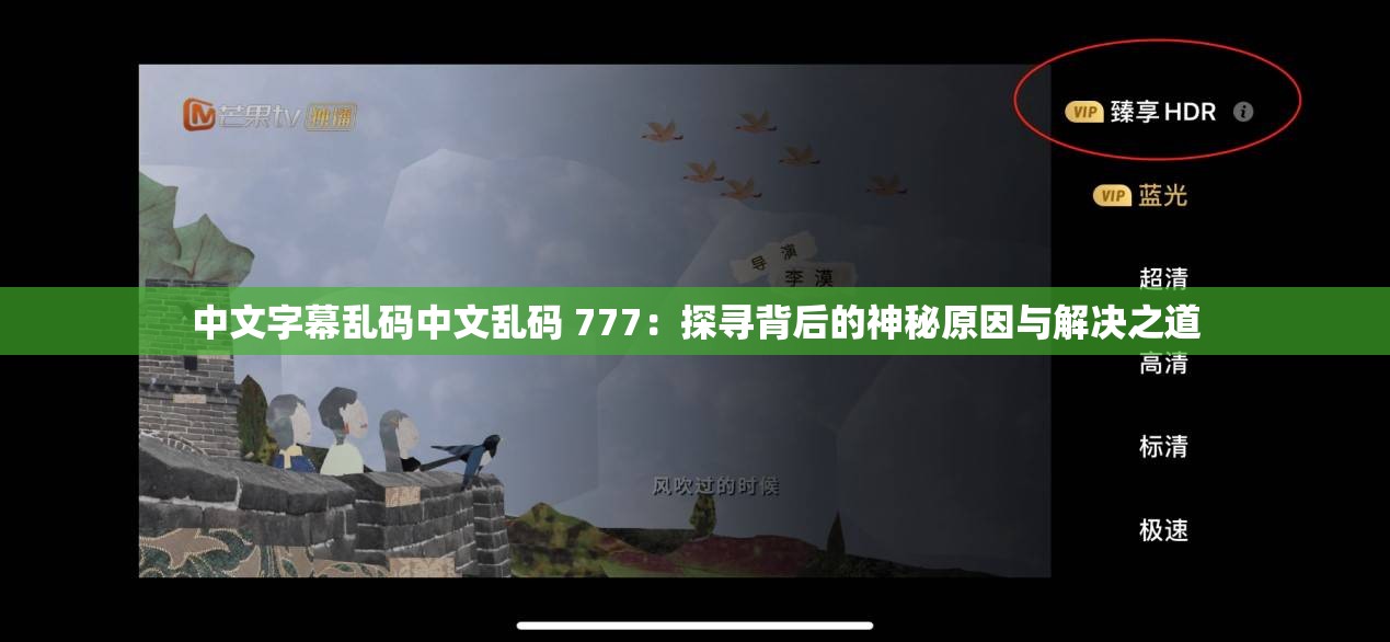 中文字幕乱码中文乱码 777：探寻背后的神秘原因与解决之道