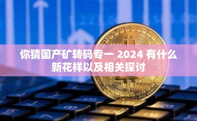 你猜国产矿转码专一 2024 有什么新花样以及相关探讨