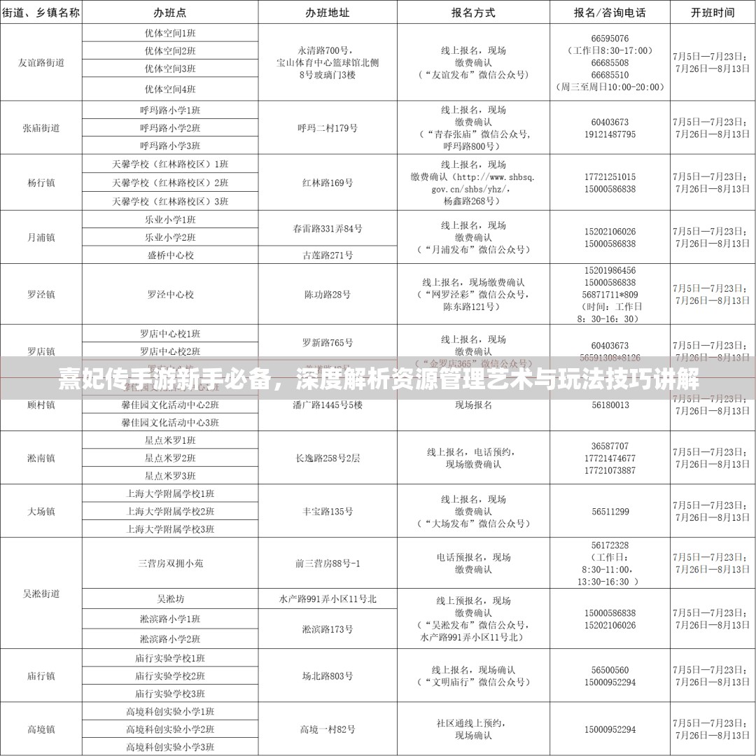 熹妃传手游新手必备，深度解析资源管理艺术与玩法技巧讲解