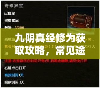 九阴真经修为获取攻略，常见途径包括任务、活动、副本及商城购买等全面揭秘