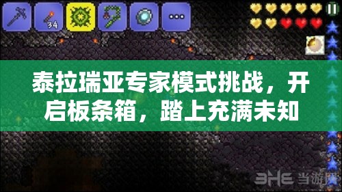 泰拉瑞亚专家模式挑战，开启板条箱，踏上充满未知的惊险探索之旅