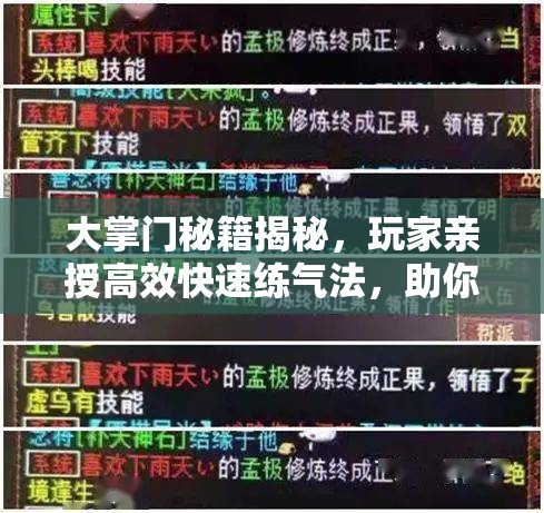 大掌门秘籍揭秘，玩家亲授高效快速练气法，助你功力在蛇年飙升领先