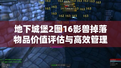 地下城堡2图16影兽掉落物品价值评估与高效管理策略分析