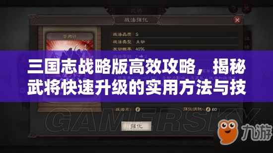 三国志战略版高效攻略，揭秘武将快速升级的实用方法与技巧