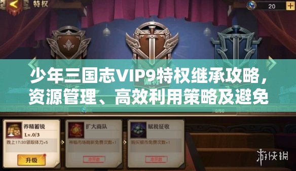 少年三国志VIP9特权继承攻略，资源管理、高效利用策略及避免浪费方法