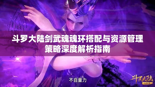 斗罗大陆剑武魂魂环搭配与资源管理策略深度解析指南