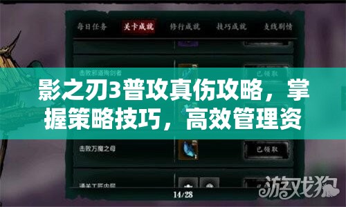 影之刃3普攻真伤攻略，掌握策略技巧，高效管理资源以实现真伤输出