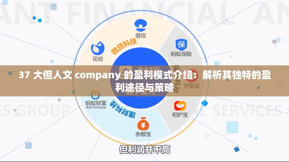 37 大但人文 company 的盈利模式介绍：解析其独特的盈利途径与策略