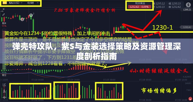 弹壳特攻队，紫S与金装选择策略及资源管理深度剖析指南