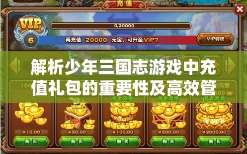 解析少年三国志游戏中充值礼包的重要性及高效管理策略