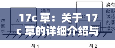 17c 草：关于 17c 草的详细介绍与深入探究