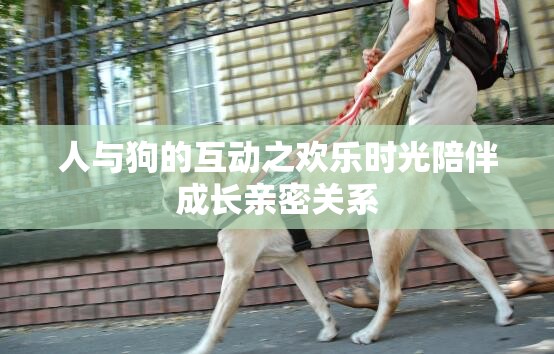 人与狗的互动之欢乐时光陪伴成长亲密关系