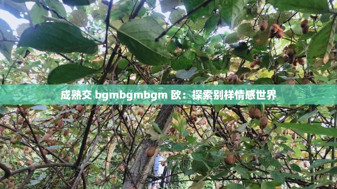 成熟交 bgmbgmbgm 欧：探索别样情感世界