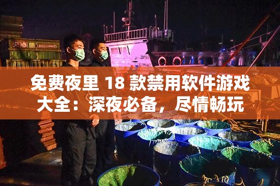 免费夜里 18 款禁用软件游戏大全：深夜必备，尽情畅玩