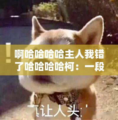 啊哈哈哈哈主人我错了哈哈哈哈柯：一段令人捧腹的认错之旅