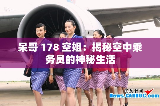 呆哥 178 空姐：揭秘空中乘务员的神秘生活