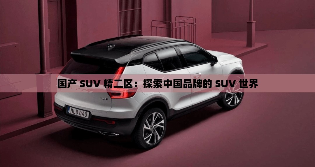 国产 SUV 精二区：探索中国品牌的 SUV 世界