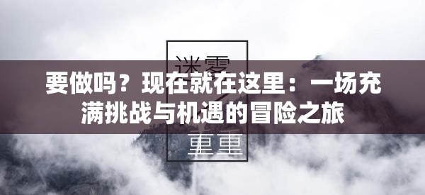 要做吗？现在就在这里：一场充满挑战与机遇的冒险之旅