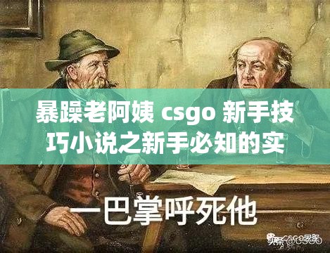 暴躁老阿姨 csgo 新手技巧小说之新手必知的实用要点与策略