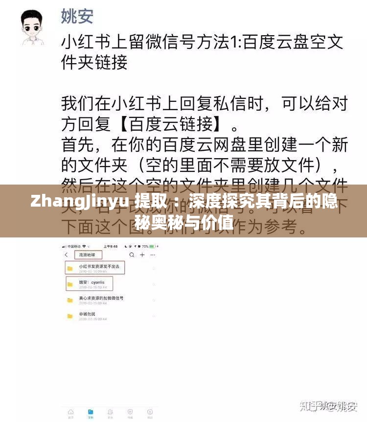 ZhangJinyu 提取 ：深度探究其背后的隐秘奥秘与价值