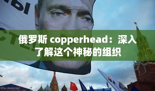 俄罗斯 copperhead：深入了解这个神秘的组织