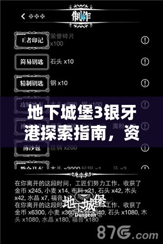 地下城堡3银牙港探索指南，资源管理技巧与避免资源浪费的全面策略