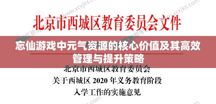 忘仙游戏中元气资源的核心价值及其高效管理与提升策略