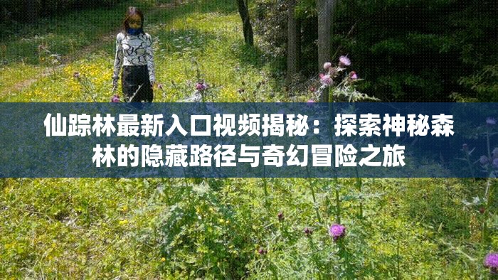 仙踪林最新入口视频揭秘：探索神秘森林的隐藏路径与奇幻冒险之旅